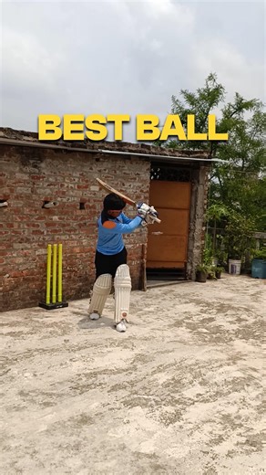 Rebounce ball vs Normal balls! 😯 #cricket #cricketshorts #cricketer