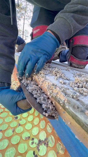 Coping ASMR compilation 🙌 Some recent pool copings we have Resurfaced ⚡️ #satisfying #oddlysatisfying #asmr #fyp #homeimprovement