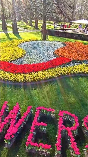 A Walk Through Keukenhof 🌿🌸 #shorts #spring #nature #flowers