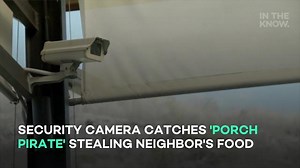 Security camera catches 'porch pirate' stealing neighbor's food