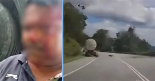 Malaysian Lorry Driver Attacked by Black Panther After Stopping to Relieve Himself