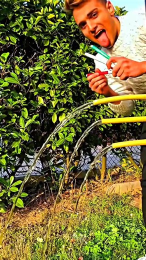 Olivia Hayes on Instagram: "🛑 Stop scrolling and start earning (more than 3k/mo). 🤖 I use an AI agent to run this page. Comment "AGENT" for the link."