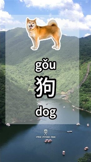 how to say dog in chinese? #learnchinese