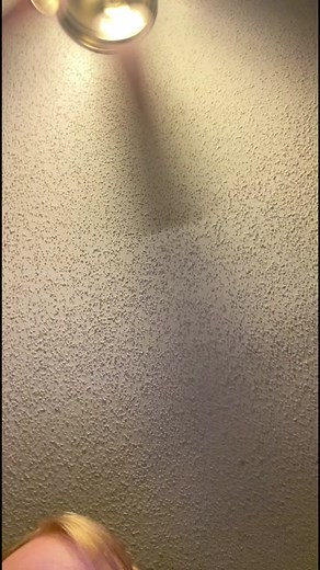 Casey Hamilton (@mrhamilton)’s videos with original sound - Casey Hamilton