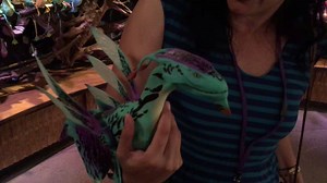 142K views · 790 shares | Would you like to adopt your very own Banshee? Well, you CAN at Pandora World of Avatar at Walt Disney World Animal Kingdom! | Theme Park Review | Facebook