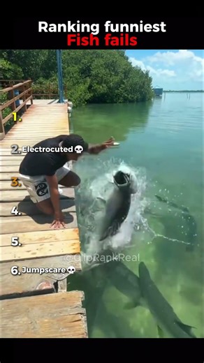 Ranking funniest Fish fails😂