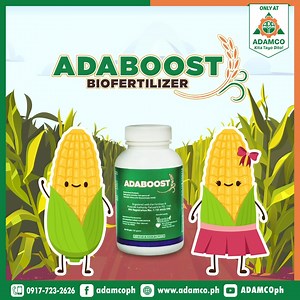 POV: Maisan mo ngayong Corn Planting season na!🌽🌽 Mais 1: Gusto ko ang ADABOOST!😃🤩 Mais 2: Ako rin! Para sa MAiS pinahabang ugat, MAiS maraming nutrisyon na epekto ng ADABOOST sa atin!🌱💚 Para sa detalye ng ADABOOST, Mag-Inquire sa ADAMCO! Text/Call 0917-3232626. #KitaTayoSaADAMCO #Adaboost #Biofertilizers #FarmerChoice #KitangKitaSaAdaboost | ADAMCO