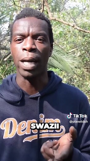 "Nguni Chronicles: 🌍✨ Unveiling the Unity of South Africa's Nguni Peo... | south africa