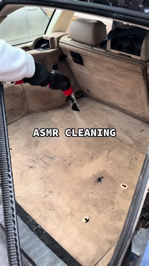 Relaxing ASMR Cleaning Sofa Experience