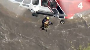 688K views · 2K reactions | A helicopter from the Los Angeles Fire Department lifted a man from the flooded Los Angeles River on Thursday. The man was spotted clinging to a tree in the rushing waters, according to a Los Angeles Fire Department alert. | CGTN | Facebook