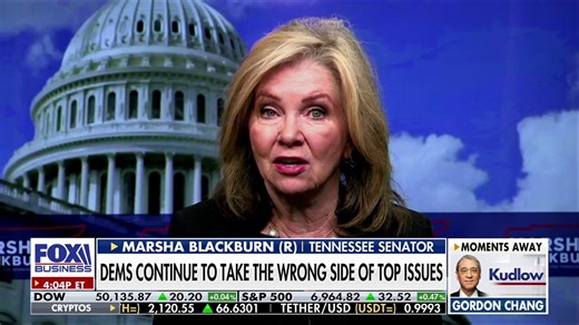 Sen. Marsha Blackburn argues 'simple' reason ICE is going into communities