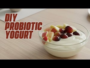 How to Make Probiotic Yogurt for Gut Health