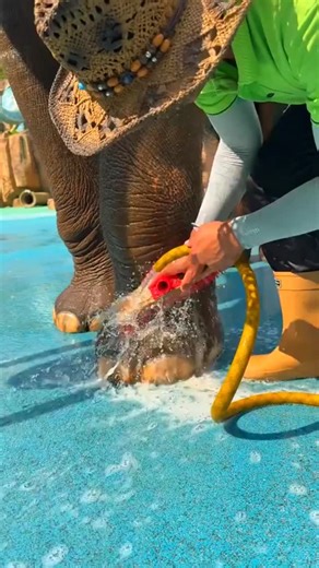 Aman vlogs on Instagram: "♡ 1ㅤ ❍5ㅤ ⎙1ㅤ ⌲20 ˡᶦᵏᵉ ᶜᵒᵐᵐᵉⁿᵗ ˢᵃᵛᵉ ˢʰᵃʳᵉ➪𝐋𝐢𝐤𝐞 #🎂要怎麼不經意的讓另一一半看到這篇文👀 儀式感滿滿🈵🔜蛋糕小熊蠟燭旋轉褸盒🕯️ 嘿~閉上眼睛～許個願吧✨ 希望你的願望會實現 （偷偷按下機關）有我幫你準備的小驚喜唷 ⚠️ 商品是蛋糕小熊機關盒 沒有附戒指💍禮物要自己準備唷 流行周邊好物推薦搜尋 ✨ 玩具公仔搜尋🔍 寵物周邊搜尋 🔍 勗新商品資訊請看限時動態精選💭 下單方式🛒 🔜留言”+1；小編火速回覆你下單資訊 🔜留言”+1； 小編火速回覆你下單資訊 可自行截圖商品私訊購買‼️ 付款方式 台灣地📦匯款、ATM轉帳（可無摺）、街口支付 支持全球順豐配送🌍微信、支付寶收款 國外配送約2週左右 因天氣、不可控因素可能延誤 能接受再下單🗳️可詢問客服配送進度. #Apmedia_in @Apmedia_in"