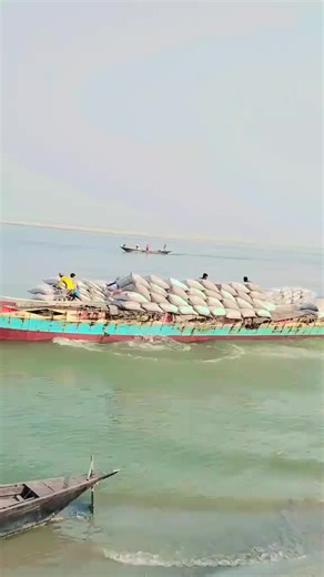 fani video full movie