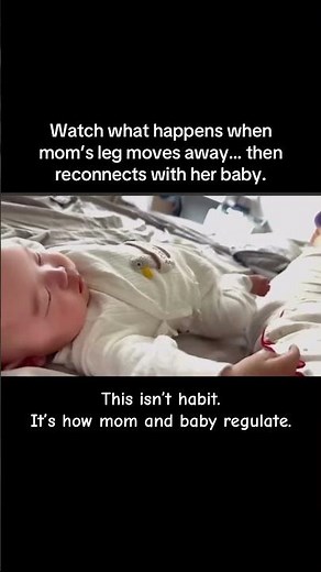 Watch what happens when mom’s leg moves away… then reconnects with her baby.