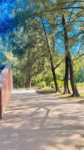 #allhamdulilah #everyone #foryou #highlights #trending #shortvideo #viral #reels #bd_vlogger_chad