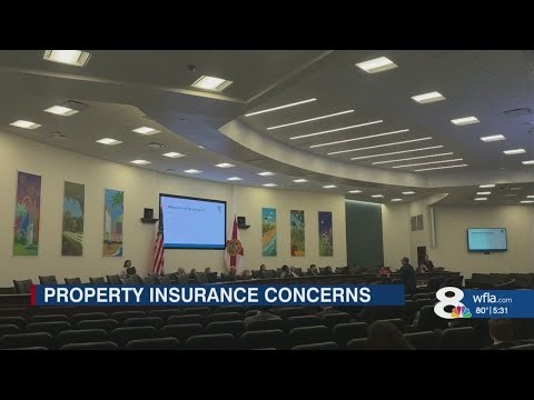 Property insurance market stability under scrutiny in Florida