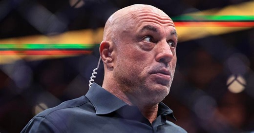 "Joe Rogan Experience" tops Apple Podcasts for 2025