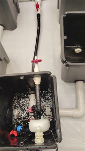 Homegrown hydroponic Stirponic RDWC system #420 #cannabiscommunity #homegrown