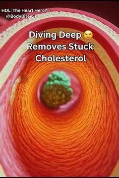 Why HDL is the "GOOD" Cholesterol – Your Artery's Best Friend! 🛡️❤️