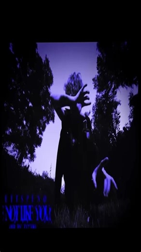 Understanding the Popularity of Nettspend