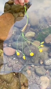 1.5M views · 6.1K reactions | #fishing #fishingtips #fishinglovers #fishingreels #fishinglife #carp #carpfishing #carptips #carpbait #carpgear #carplife #montage | JADA | Facebook