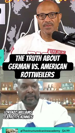The Truth About German vs. American Rottweilers with guest, Lorenzo Williams @Ob_Rotts