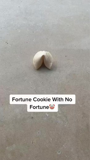 Fortune Cookie Fail | Blake Reels