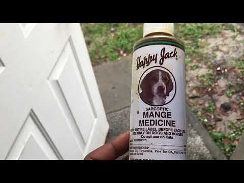 Mange In Dogs Treatment Happy Jack Review