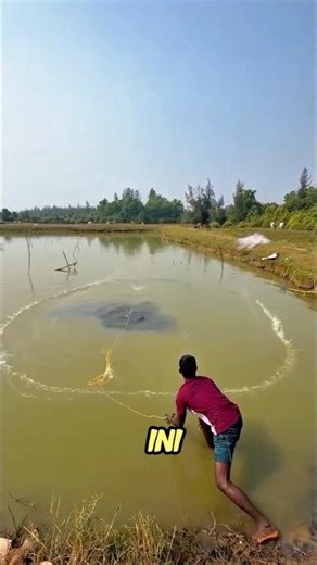 Sekali Tebar Jala, Langsung Dapat Ikan Raksasa! Skill Abang Ini Bikin Melongo 😱 #fishing #satisfying