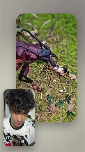 วิดีโอของ Reaction By Sandeep★ (@reaction.by.sandeep) พร้อมเพลง original sound - Reaction By Sandeep★