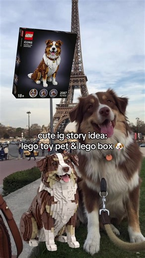 Create Your Custom LEGO Toy Pet Collection