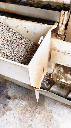 185K views · 786 reactions | The cold press squeezes oil, and the oil cake and seeds are mixed together to make the oil smoother. #oilpressmachine #oilpress | Oilpress machine | Facebook