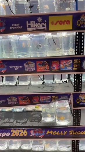 Aqua Tech - Main Page on Reels