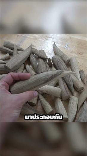 ไดโนเสาร์จากไม้🦖🦖 #shorts