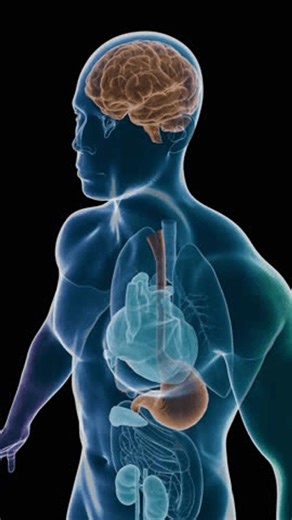 clip-4005984565-holographic-display-glp-1-molecule-acting-on-brain