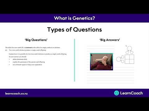 NCEA Science Level 1 Biology: Introduction to Genetics