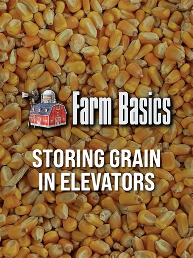 Storing Grain in Elevators: Essential Tips From Experts