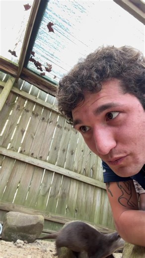 Joseph Taylor (@itsjustjosepht)’s videos with original sound - Joseph Taylor