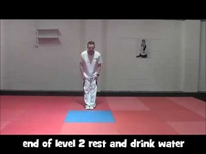 Taekwondo workout
