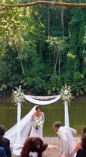 Monkey Took His Wife! 🦧 🤯 Unbelievable Ceremony Moments #wedding #love #viral