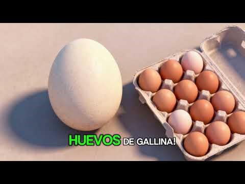 El Emu, de Australia.