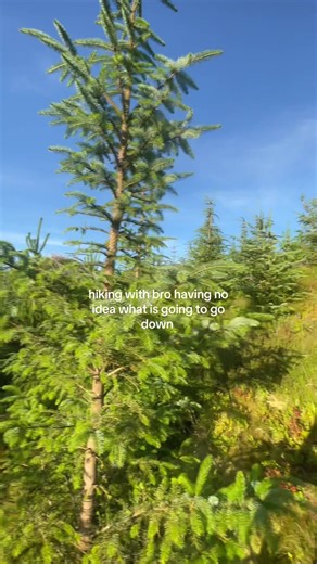 Hiking Adventure with Bro: Uncovering the Unexpected