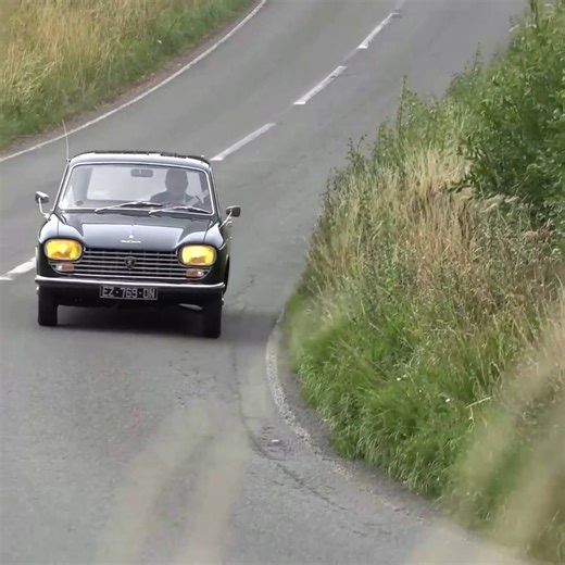 178K views · 3.3K reactions | The Forgotten Peugeot! | Number 27 | Facebook