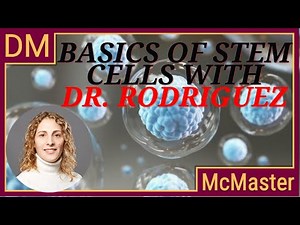 Stem cells