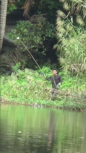Cách câu cá siêu hiệu quả #cauca #fishing #câucárôphi