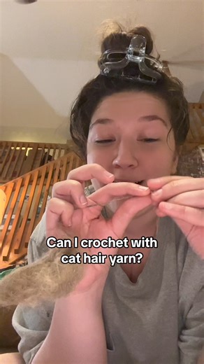 642K views · 10K reactions | Can I make yarn out of cat hair? | Holly Auna | Facebook