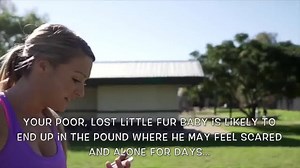 󾆷󾇘🐈 TAG A DOG OWNER THAT NEEDS THIS STORE 󾆷󾇘🐈 Over 130 000 Dogs end up in shelters each year, make sure yours comes home. | Custom Pet Collars UK