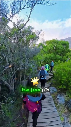 جولة خيالية في جبل الطاولة.. جمال لا يصدق!