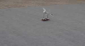 Robotic Cockroach Launches Robotic Bird Off of Its Back